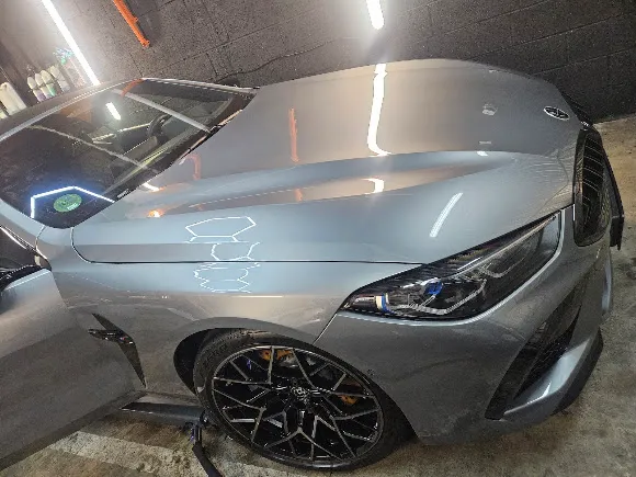 BMW — close-up finish at Ceramic Guys
